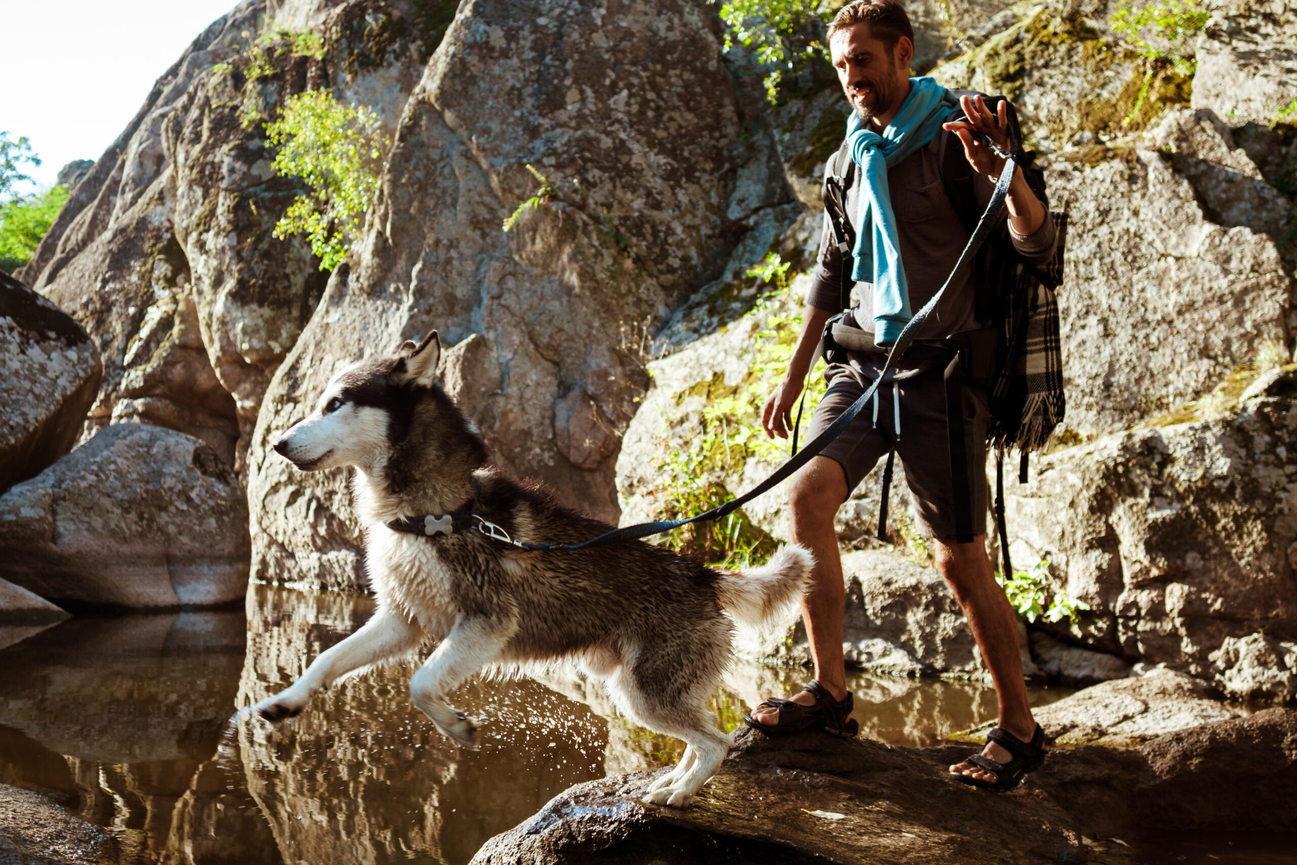 Young handsome man walking with huskies dog in canyon near water. Copy space.